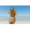 A single pineapple on the beach.