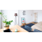 A bedroom with a lamp, sofa, bed, desk, plant, painting, and light fixture