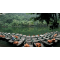 Lines of fishing boats docked on water in Ninh Bình Province