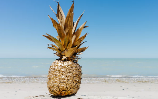 A single pineapple on the beach.