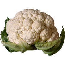 Cabbage Interdum et malesuada