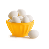 Egg Fusce egestas