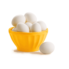Egg Fusce egestas