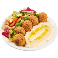 Falafel Pellentesque magna
