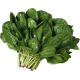 Salads Salads